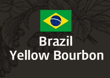 브라질 옐로우 버본 (Brazil Yellow Bourbon)