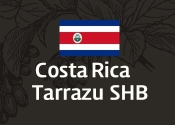 코스타리카 따라주 SHB (Costa Rica Tarrazu SHB)