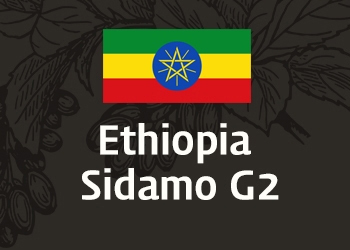 에디오피아 시다모 G2 (Ethiopia Sidamo G2)