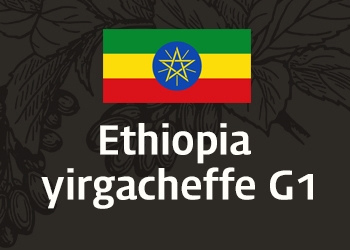 에디오피아 예가체프 G1 (Ethiopia Yirgacheffe G1)