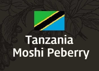 탄자니아 모시 페베리 (Tanzania Moshi Narino)