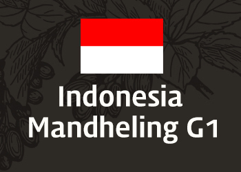 인도네시아 만델링 G1 (Indonesia Mandheling G1)