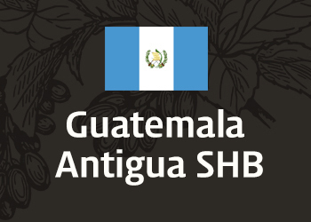 과테말라 안티아구 SHB (Guatemala Antigua SHB)